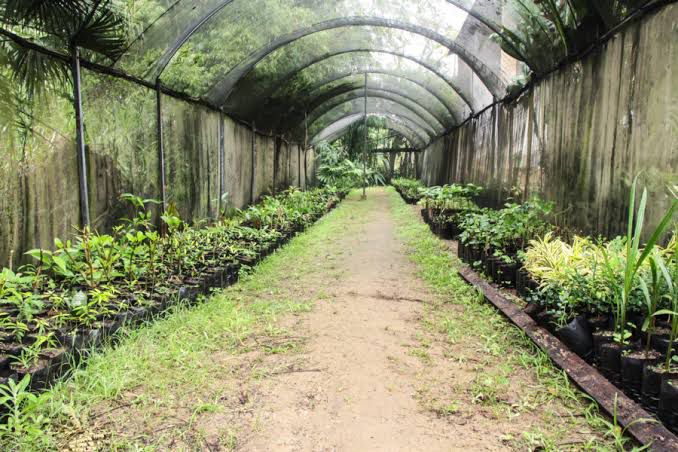 São Pedro da Aldeia promove 1ª Conferência Municipal do Meio Ambiente