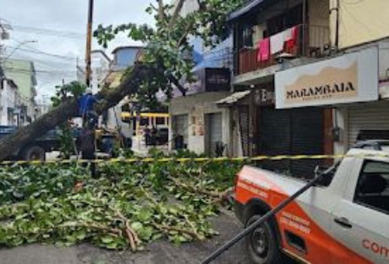 Cabo Frio registra alagamentos e queda de árvore após forte chuva