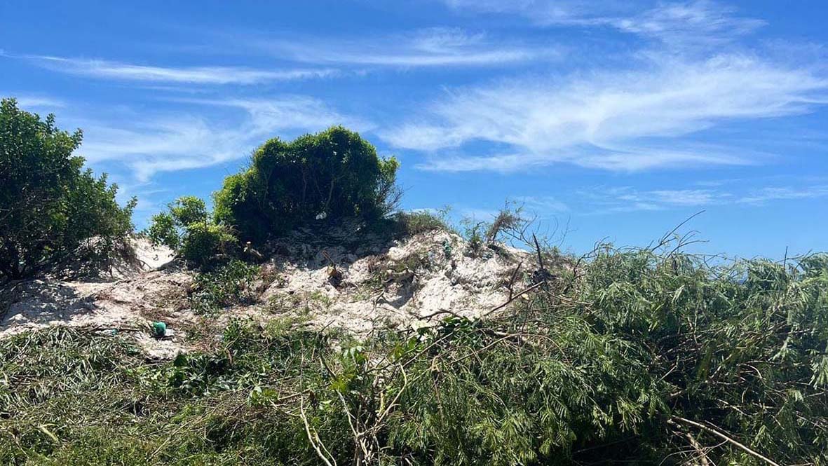 Secretaria de Meio Ambiente intensifica trabalhos de recuperação na Praia do Forte