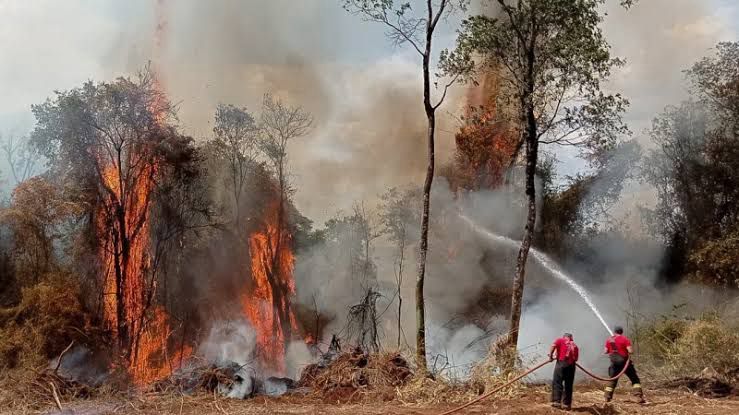 Medidas preventivas contra incêndios florestais são reforçadas em Cabo Frio após alerta