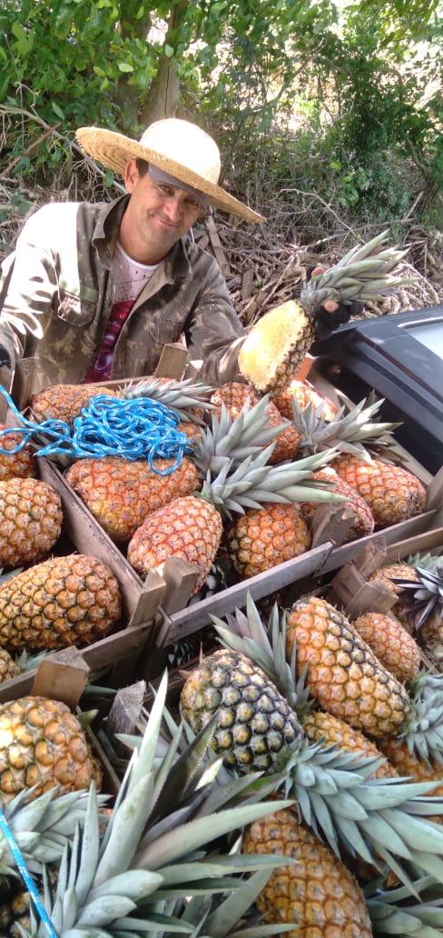 Produção local impulsiona merenda escolar e fortalece economia rural em Cabo Frio