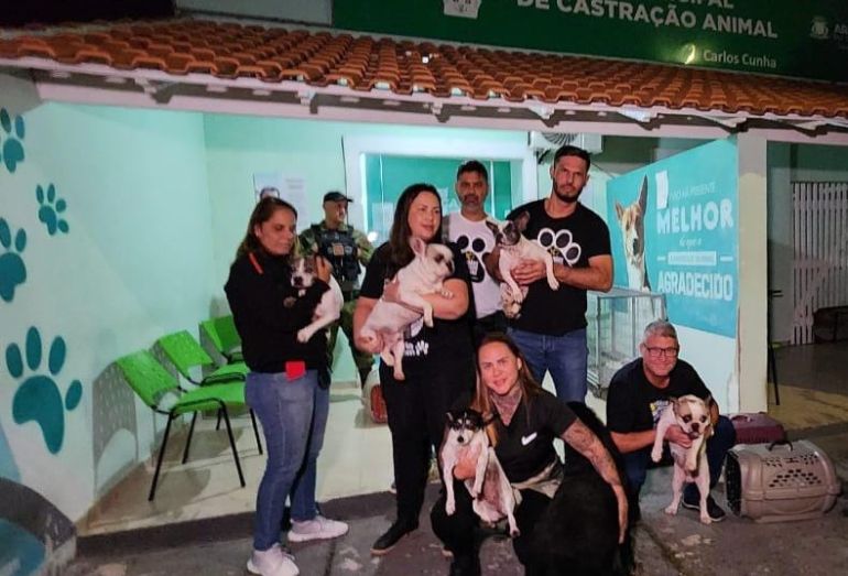 Resgate em Arraial do Cabo animais seguem para novos lares mas ainda há muitos em risco