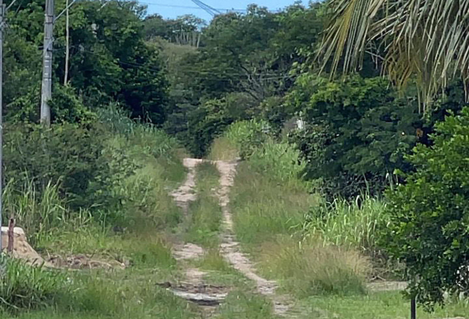 Secretaria de Meio Ambiente inspeciona APP em Cabo Frio e estuda medidas preventivas