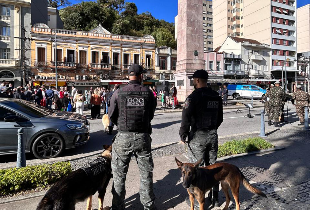 Cães da Guarda de Arraial do Cabo passam por treinamento tático em Petrópolis