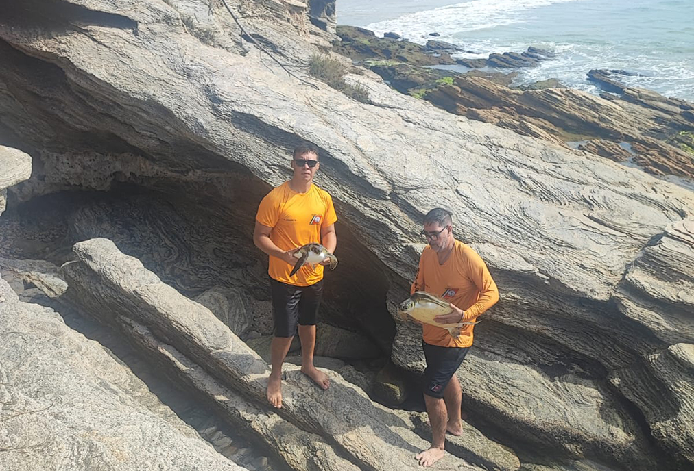 Tartarugas são salvas de rede de pesca por equipe ambiental em Cabo Frio