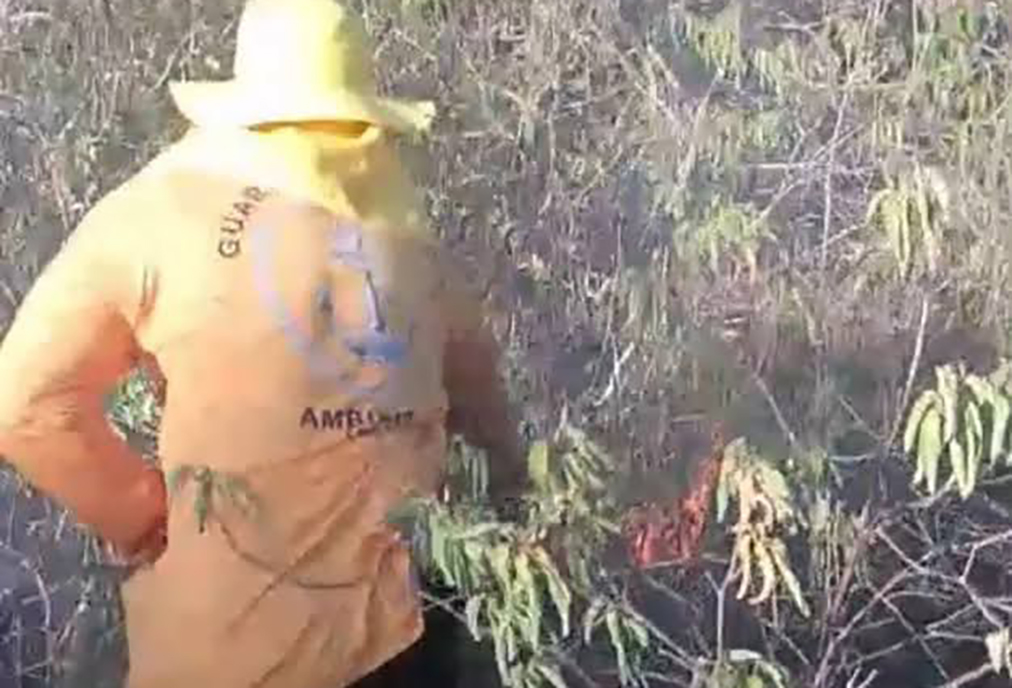 Ação rápida da Guarda Marítima evita desastre ambiental e resgata ave em Cabo Frio