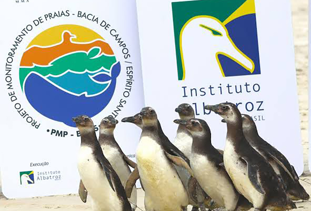 Projeto oferece curso gratuito e R$ 500 mensais a adolescentes de Cabo Frio