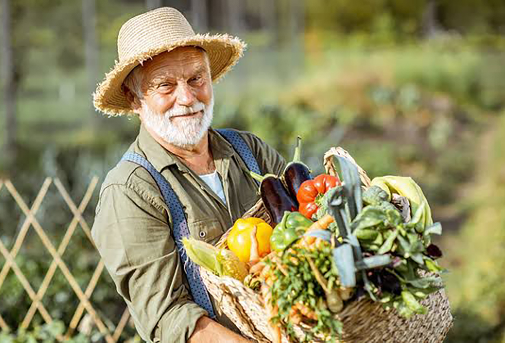Fundação Banco do Brasil e Sebrae Cabo Frio oferece oficina prática de precificação para agricultores familiares