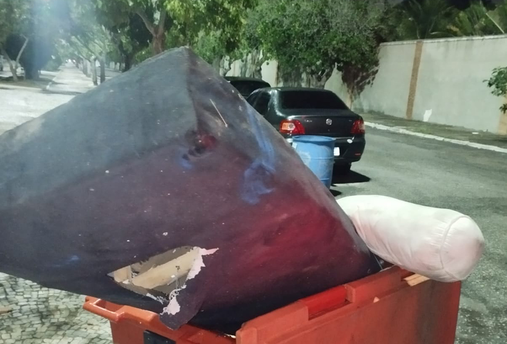 Denúncia leva Guarda Municipal a remover resíduos escondidos em área verde em Cabo Frio