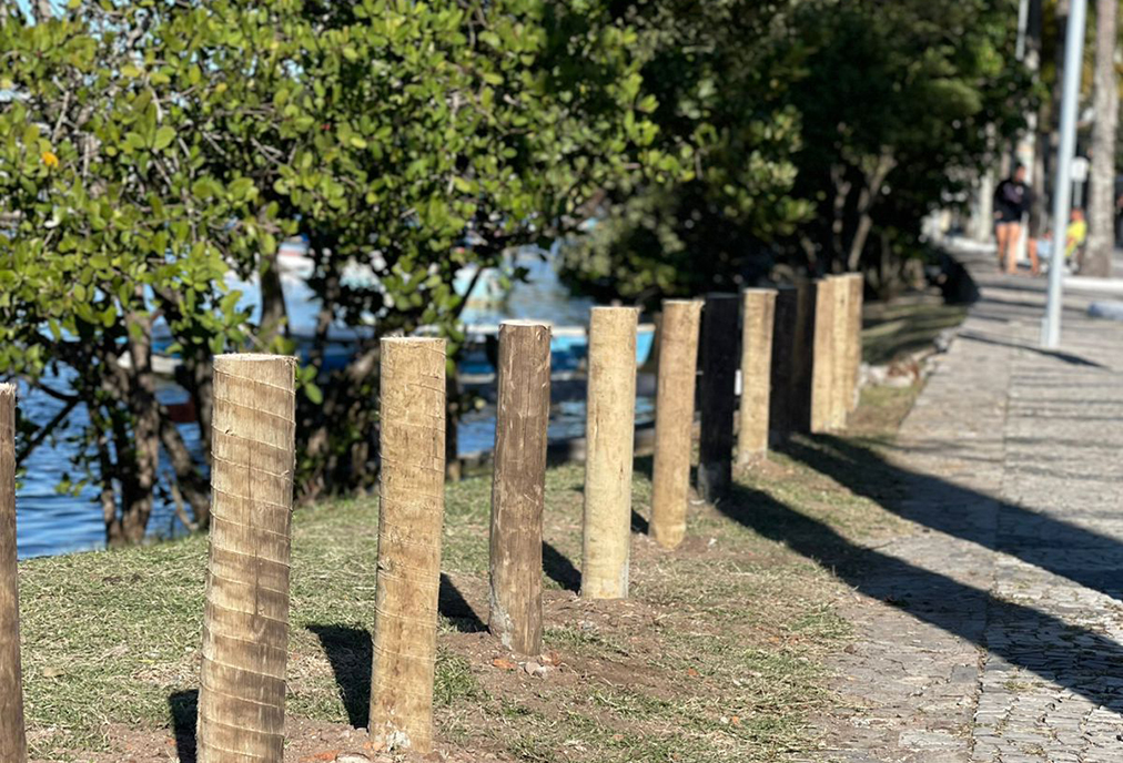 Iniciativa ambiental no Portinho, em Cabo Frio, reorganiza pesca e protege vegetação nativa