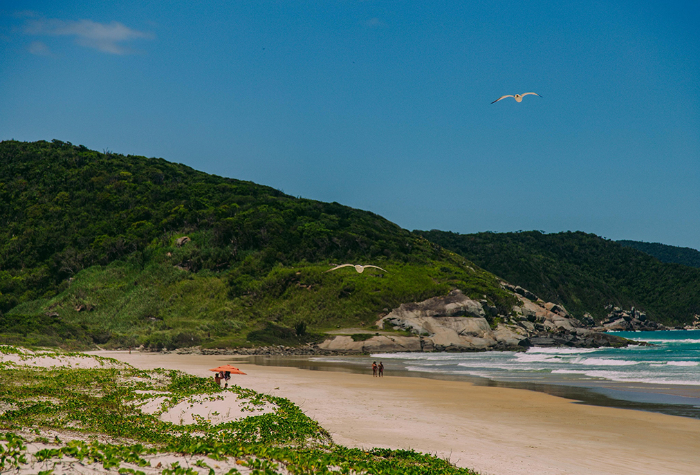 Cabo Frio transforma férias escolares em jornada ecológica e educativa