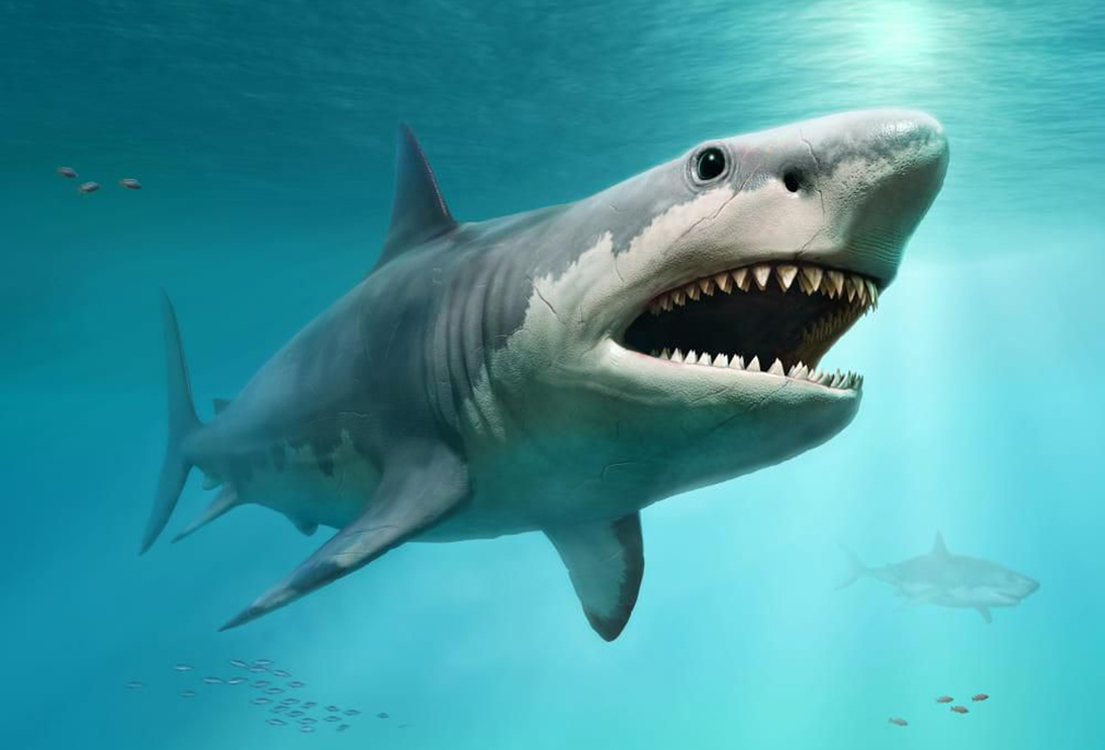 Ilha dos Dinossauros em Iguaba aposta no Megalodon para impulsionar turismo