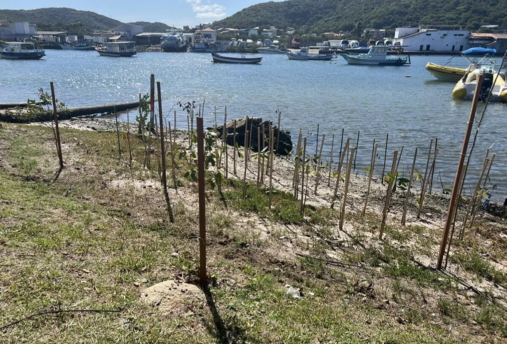 Áreas verdes são ampliadas em Cabo Frio com o programa “Cabo Frio Respira”