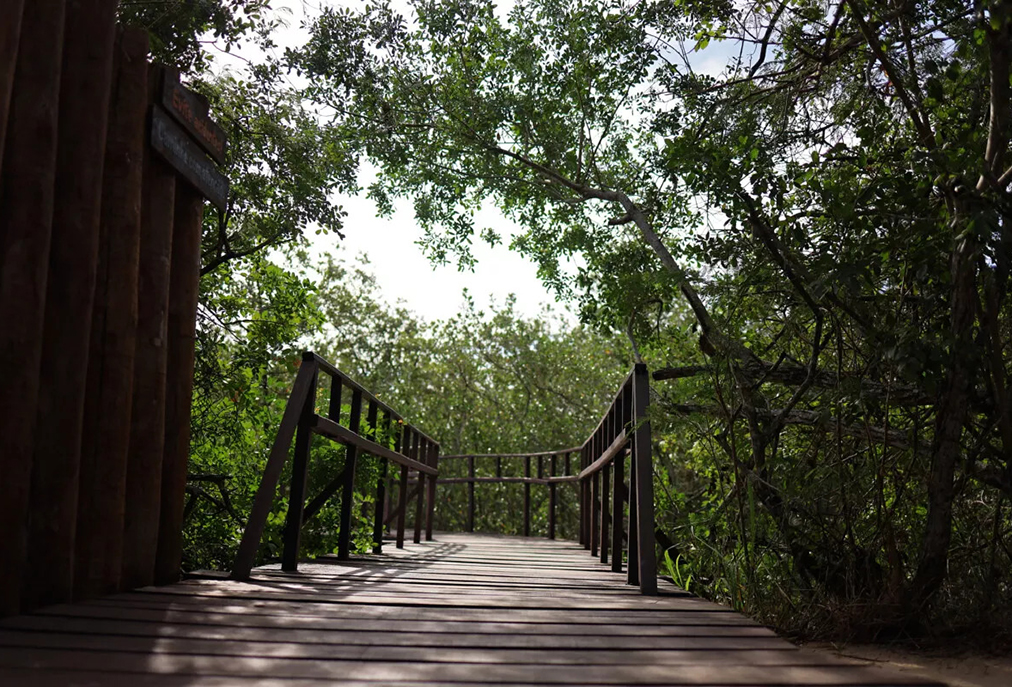 Parque Dormitório das Garças em Cabo Frio recebe sinalização educativa para orientar visitantes