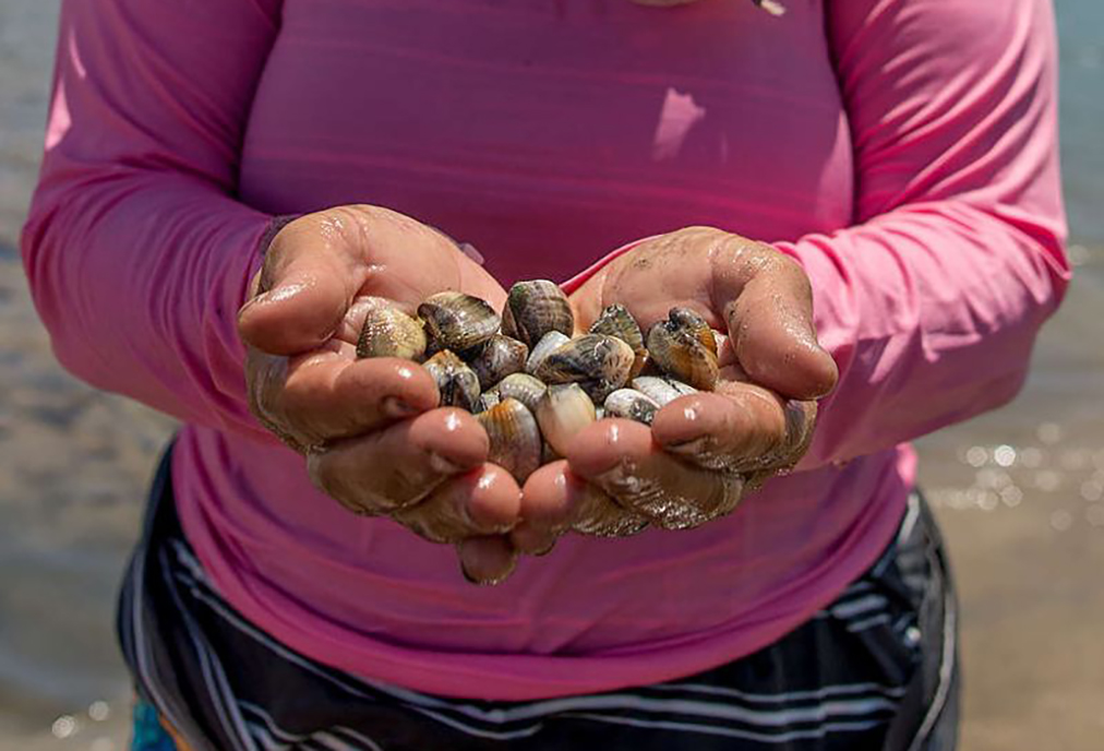 Nova lei estadual prioriza exames para pescadores e marisqueiras de Cabo Frio e região