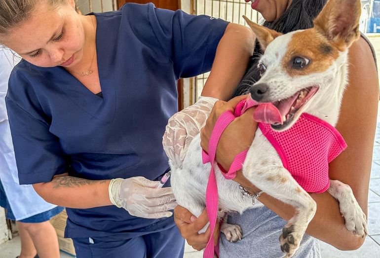 Dia D da vacinação antirrábica acontece neste sábado em três bairros de Cabo Frio