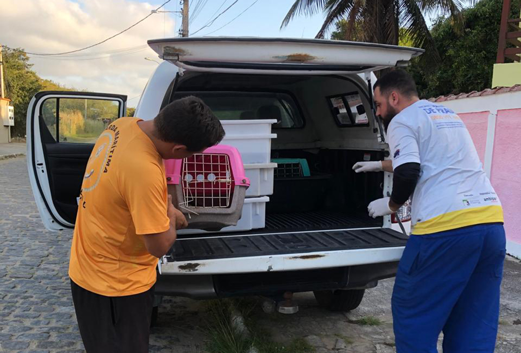 Guarda Ambiental de Cabo Frio atua em diferentes pontos da cidade para salvar animais