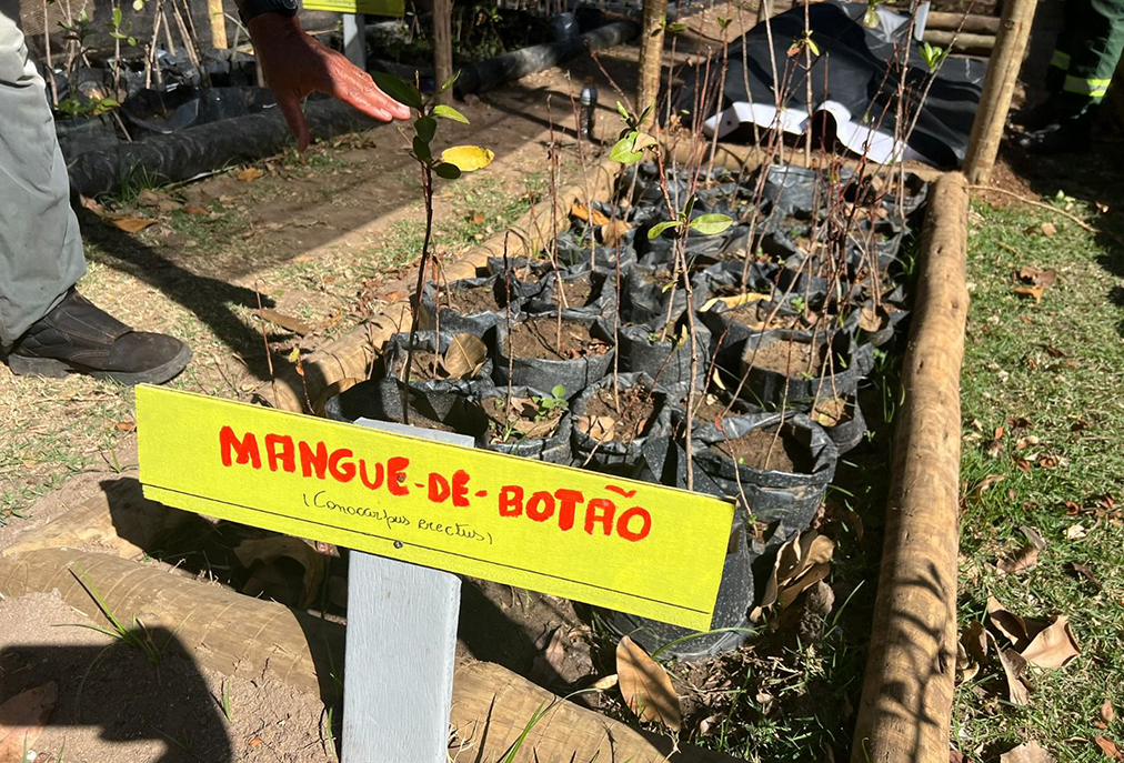 Programa “Cabo Frio Educada” fortalece educação ambiental e recuperação de áreas verdes
