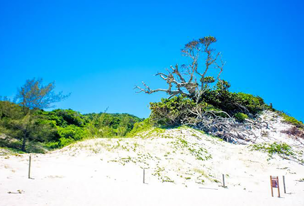 Evento reforça importância da preservação ambiental na cidade de Arraial do Cabo