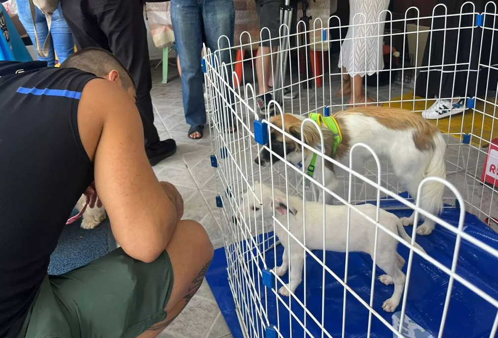 Centro de Cabo Frio recebe ação de incentivo à adoção responsável de pets