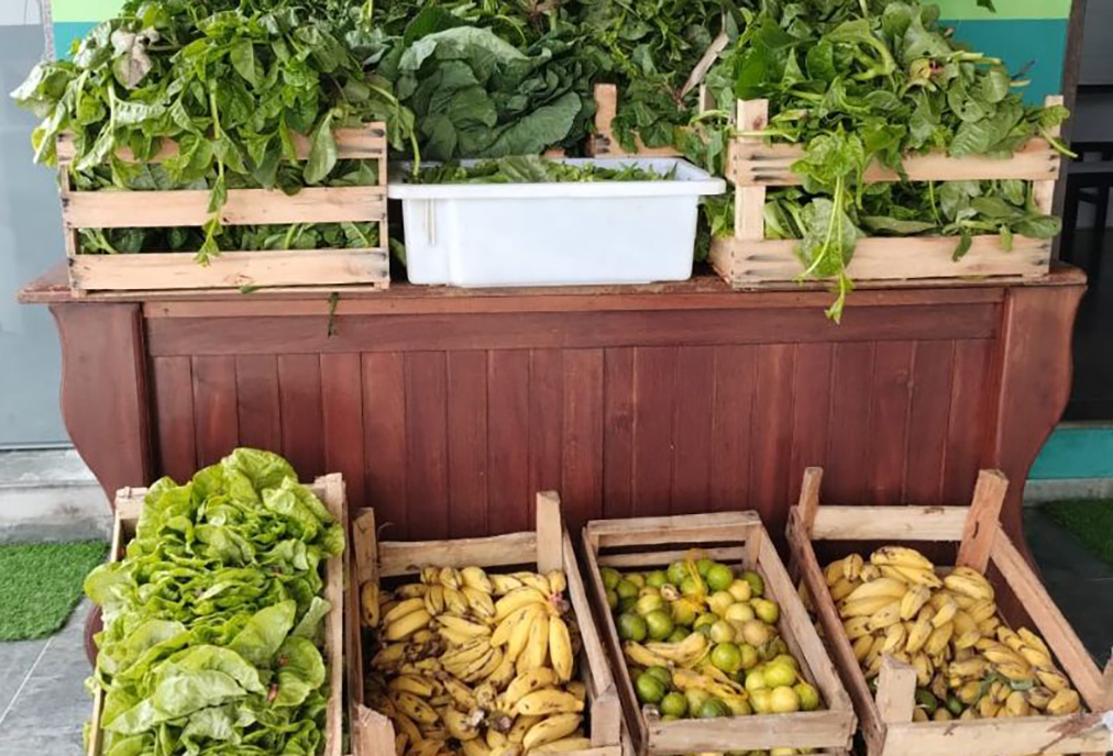 Saquarema promove 4ª Feira do Produtor Rural nesse sábado, 1º de novembro