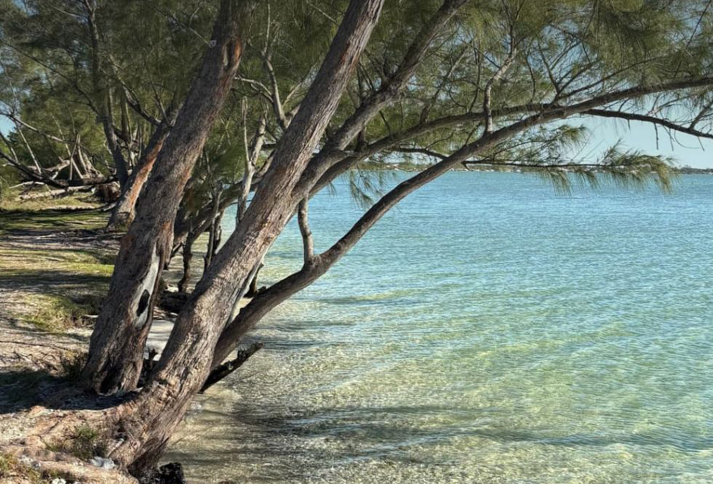 Arraial do Cabo conquista novamente o selo Bandeira Azul para a temporada 2025/2026