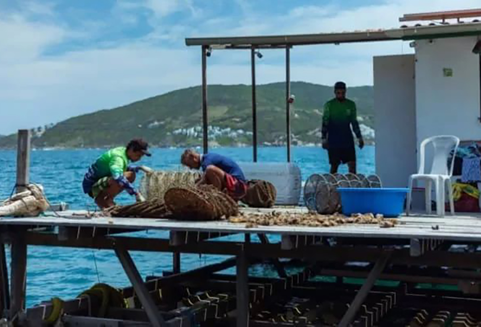 Festival da Pesca destaca ciência, gastronomia e educação ambiental na Região dos Lagos