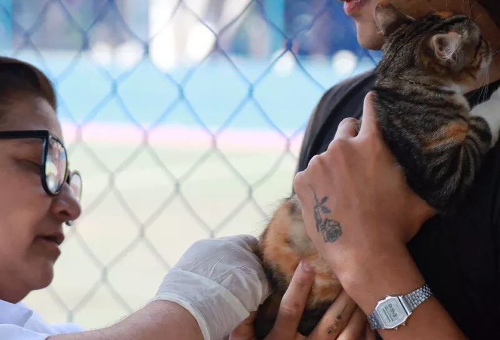 Ação especial oferece cuidado e novos lares para pets no Dia Mundial dos Animais