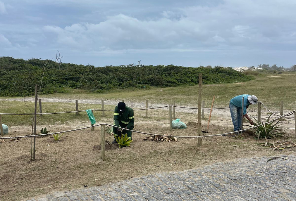 Renaturalização da orla avança com implantação de canteiro ecológico em Cabo Frio