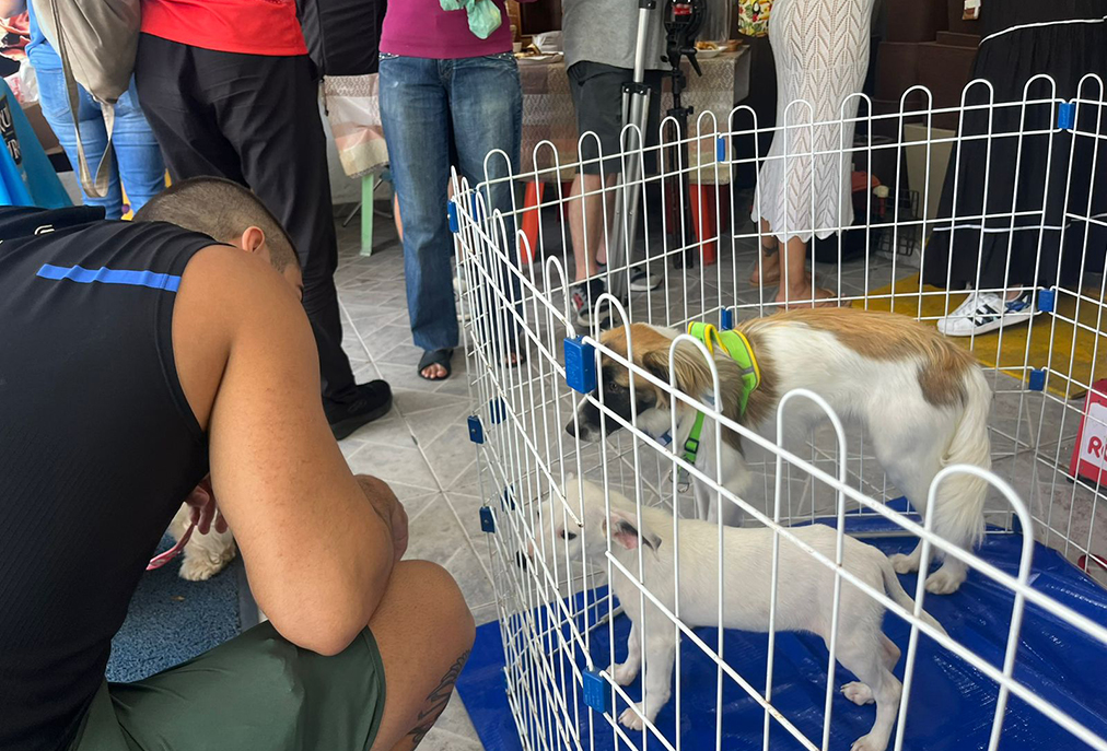 Cabo Frio recebe evento para incentivar adoção responsável de animais