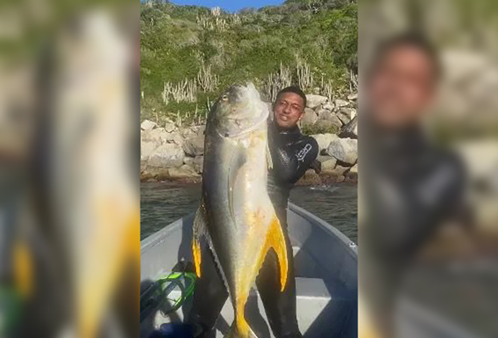 Captura impressionante de xaréu com 28kg movimenta pescadores no litoral de Arraial do Cabo