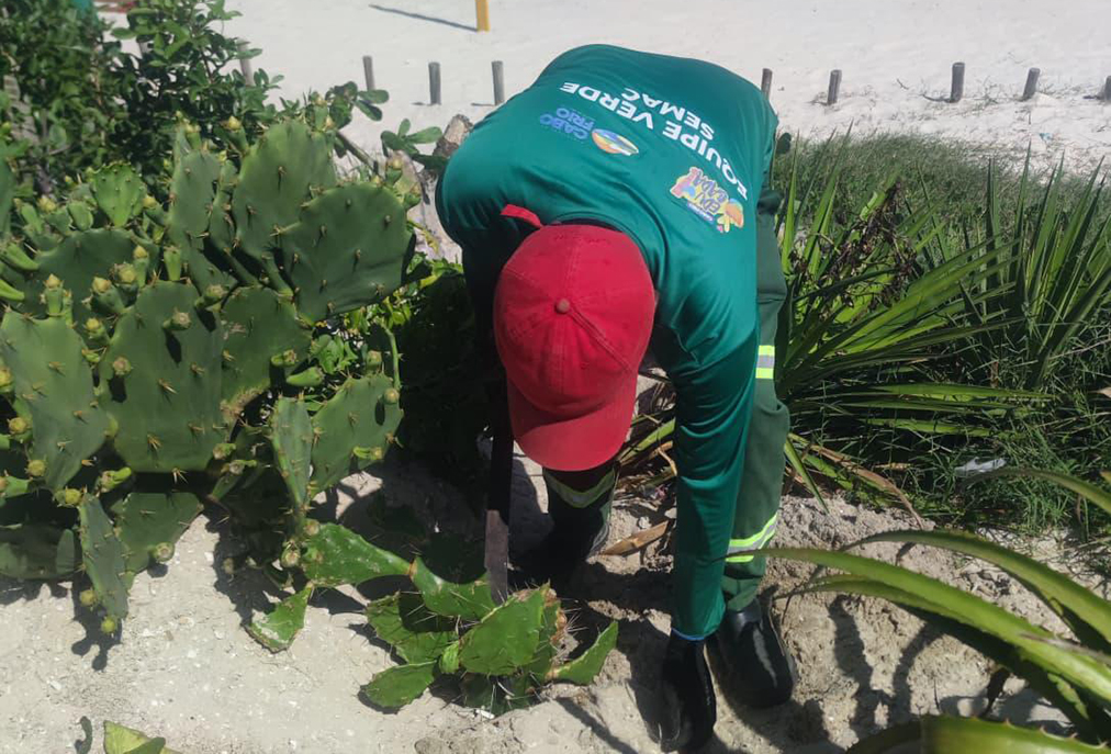Cabo Frio intensifica ordenamento da orla com barreiras, placas educativas e ações de controle