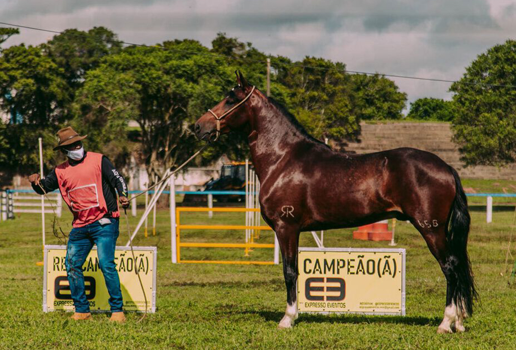 Araruama movimenta agronegócio com etapa estadual de Marcha Picada